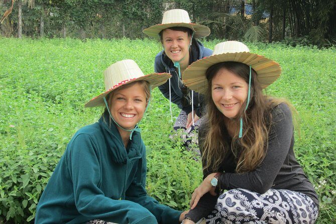 Ox-cart Culture Tour, Countryside Experince in Siem Reap - FAQs