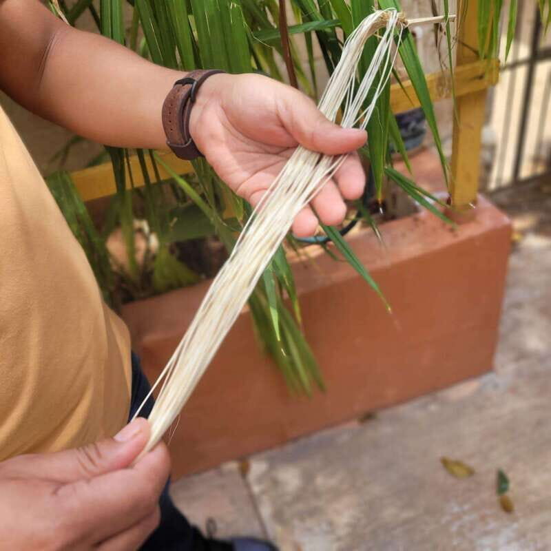 Oxkintok ancient Puuc + Becal Jipi Japa artisan + Cenote - Exploring the Archaeological Marvel of Oxkintok