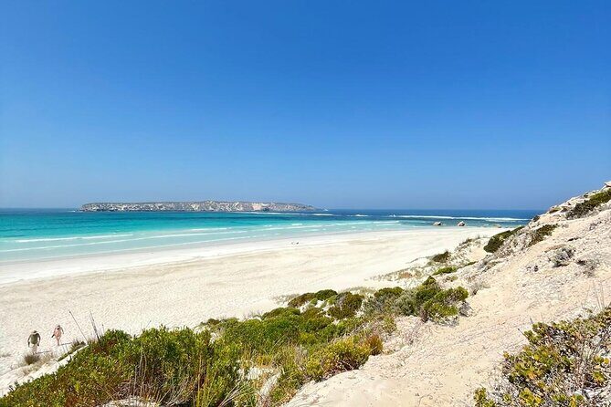 Oyster Adventure in Coffin Bay (Coffin Bay Pick Up) - Who Will Love This Tour?