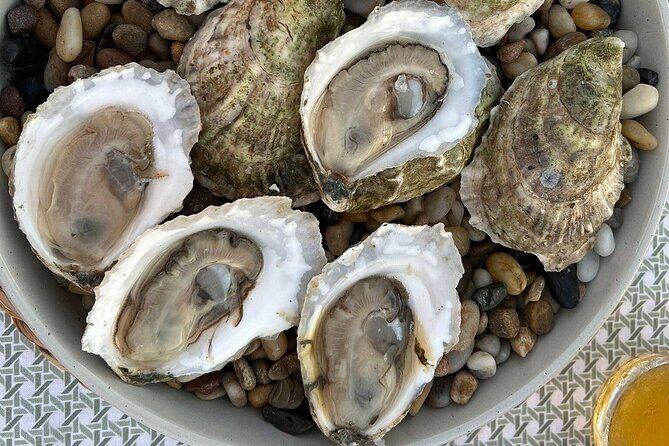 Oyster and Wine Tasting in a Cozy Seaside Lodge - Key Points