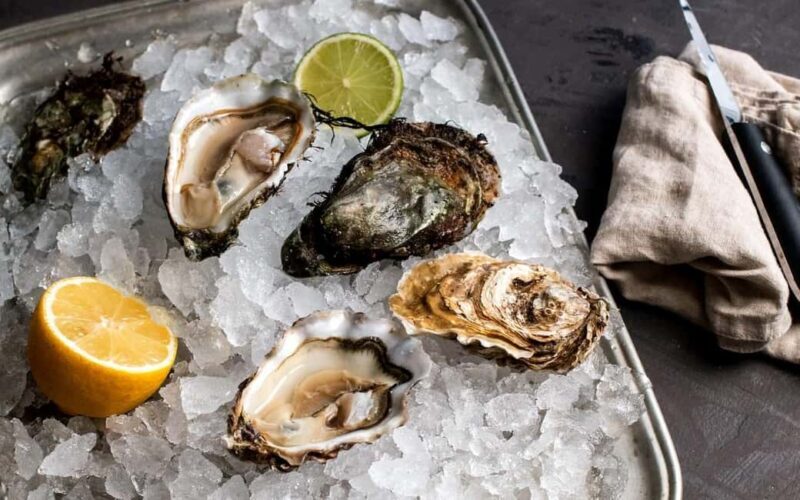 Oyster day in Mali Ston - Key Points