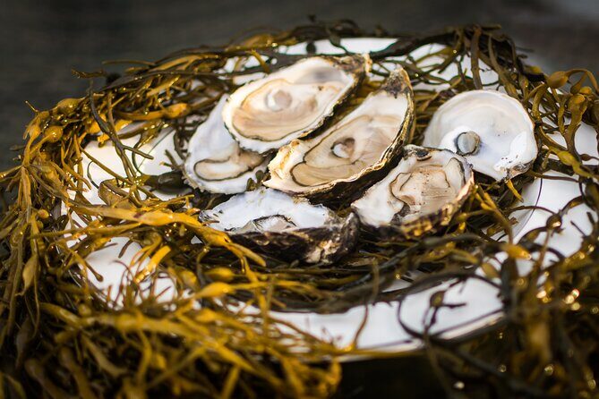 Oyster Farm and Tasting Experience - FAQ