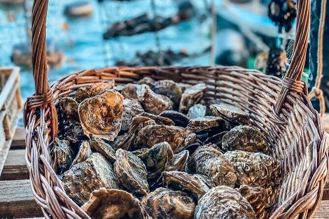 Oyster farm experience private day trip from Dubrovnik - FAQ