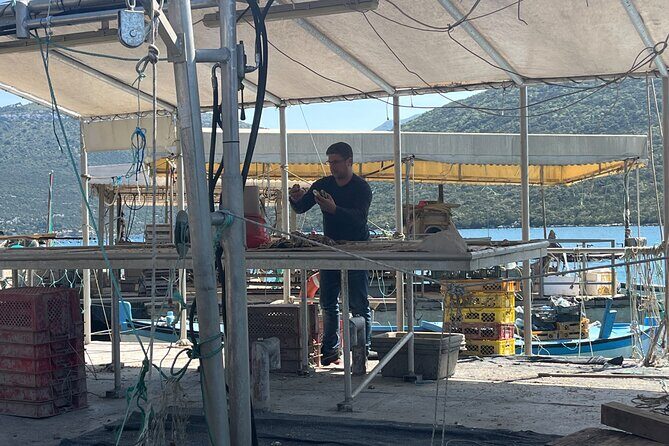 Oyster Farm, Ston and Winery Tour - Final Verdict: Is It Worth It?