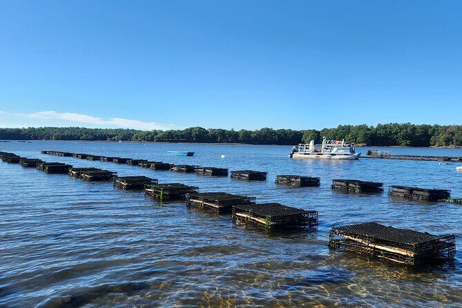 Oyster Tasting and Kayak Tour - What to Expect at Each Stop