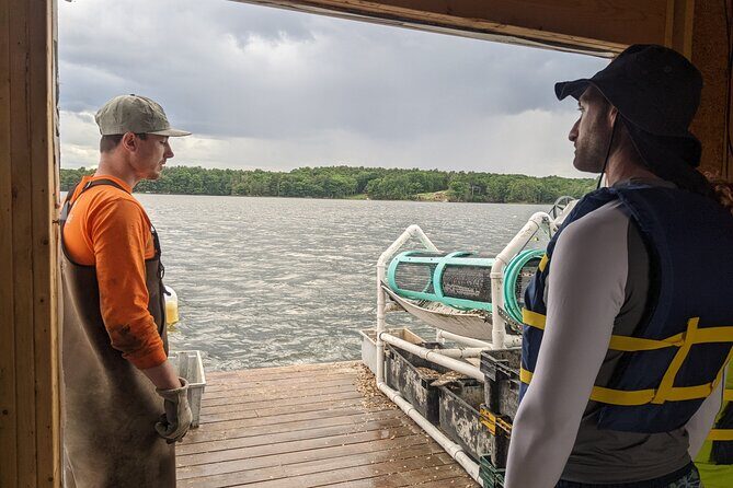 Oyster Tasting and Kayak Tour - Authentic Insights from Reviewers