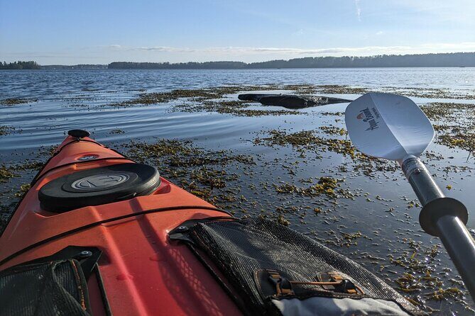 Oyster Tasting and Kayak Tour - Final Thoughts