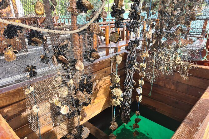 Oysters & Wine Tour From Dubrovnik (Small Group) - Key Points