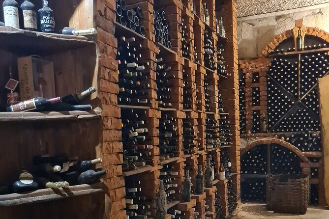 Oysters & Wine Tour From Dubrovnik (Small Group) - Who Should Consider This Tour?