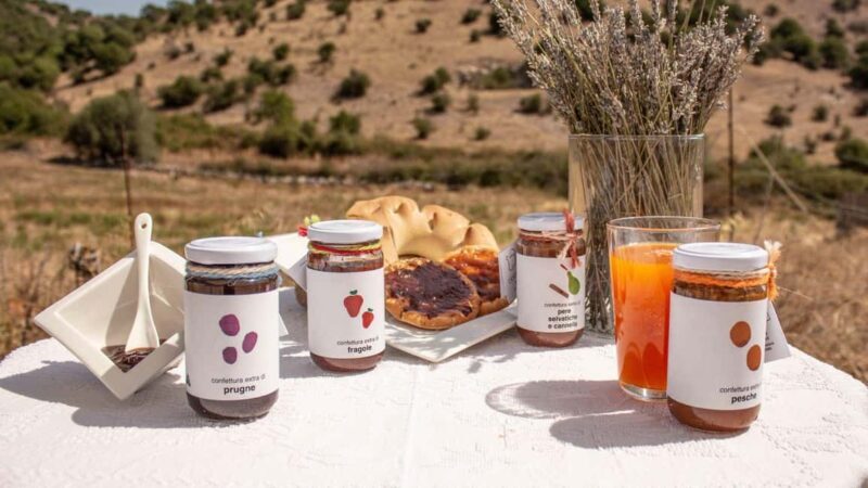 Ozieri: jam tasting in Tula - Who Would Love This Experience?