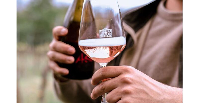 Ozzano Emilia: Guided Cellar Walking Tour with Wine Tasting - A Closer Look at the Ozzano Emilia Guided Cellar Walking Tour with Wine Tasting