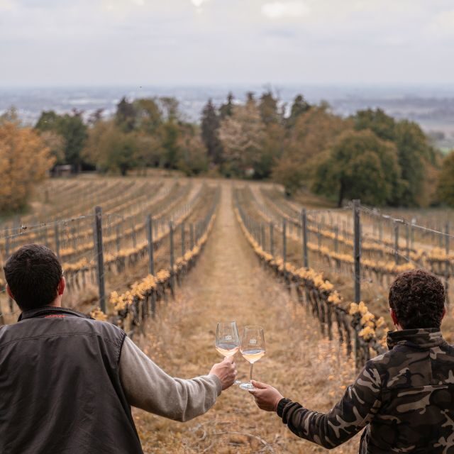 Ozzano Emilia: Guided Cellar Walking Tour with Wine Tasting - What Travelers Love Most