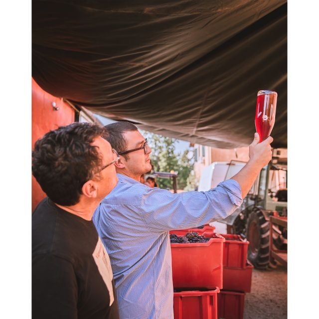 Ozzano Emilia: Guided Cellar Walking Tour with Wine Tasting - Who Will Love This Tour?