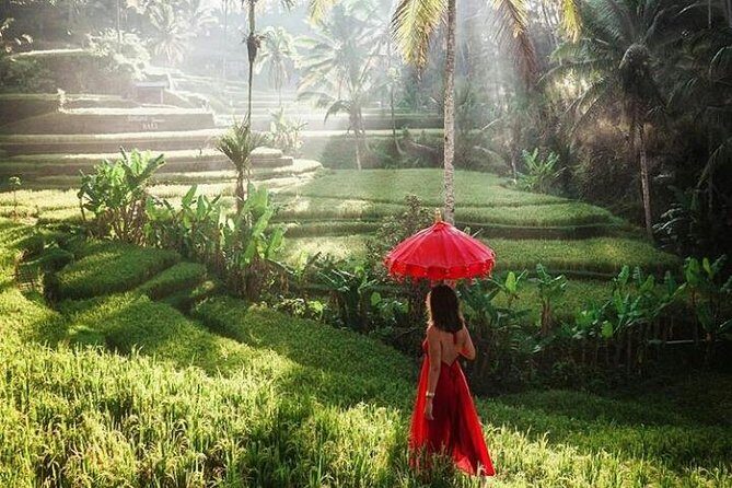 Package 2 day tour in bali all invlusive ( instagram tour and ubud tour) - Who Would Love This Tour?