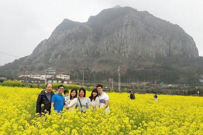 Package tour of All areas of Jeju Island-(East &South &West) - Who Would Love This Tour?