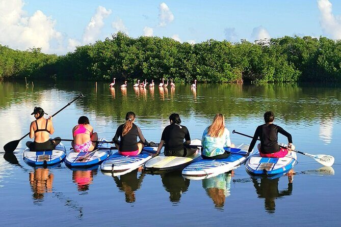 Paddle Board at Dawn in Yucatan - A Detailed Look at the Experience