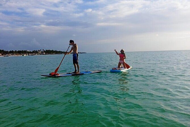 Paddle Board Classes in Holbox with Pick up - Key Points