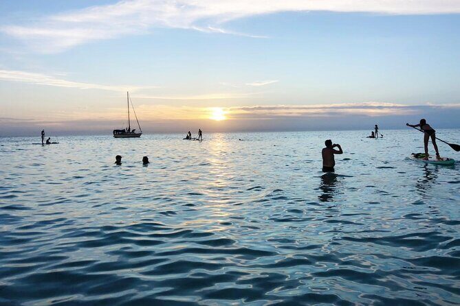 Paddle Board Classes in Holbox with Pick up - Pricing and Value