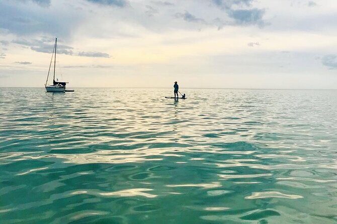 Paddle Board Classes in Holbox with Pick up - Who Will Love This Experience?