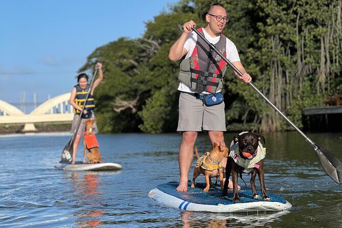 Paddle Board Hale'iwa with Rescue Dogs - Practical Details