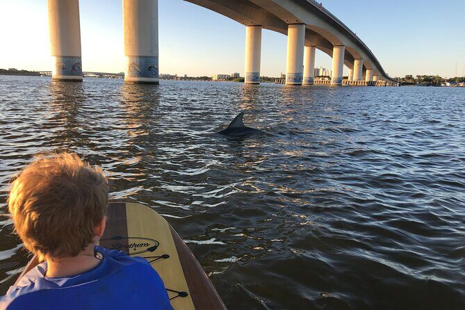 Paddle Board Rental - Key Points