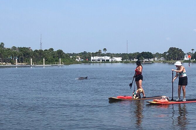 Paddle Board Rental - Why We Think This Experience Works Well