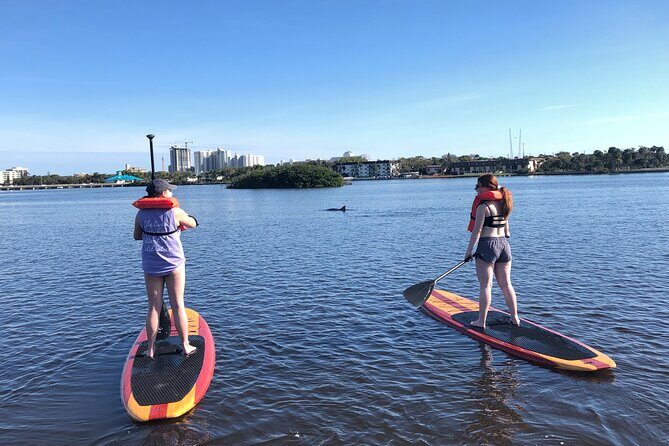 Paddle Board Rental - The Sum Up