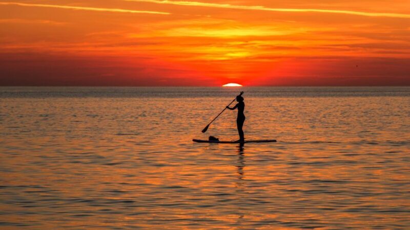 Paddle Board Rental: Glide on the Water with Ease - Key Points