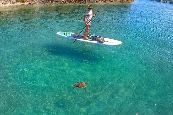 Paddle Boarding Activity to Peanut Island - The Value and Price Analysis