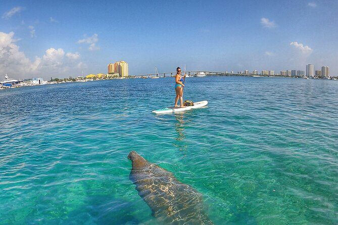Paddle Boarding Activity to Peanut Island - The Sum Up