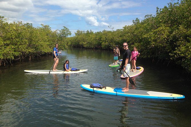 Paddle Boarding Rentals - An In-Depth Look at the Paddleboarding Experience in West Palm Beach