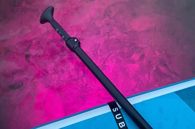 Paddle Out at Dusk for Glow Night Cruise in Gordon Bay - The Sum Up