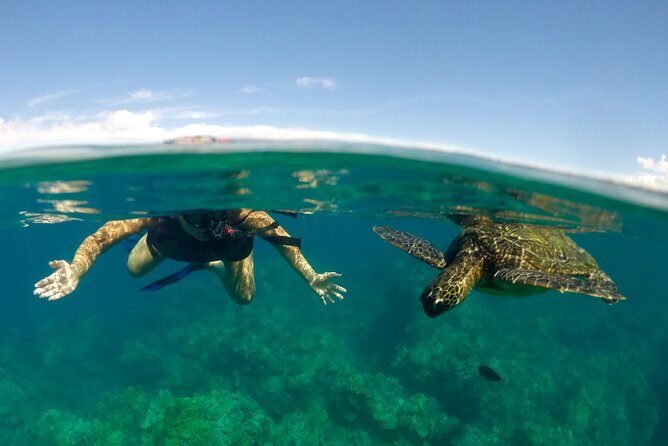 Paddle, Snorkel and Learn to Surf: All in a Day on Maui - Key Points