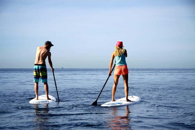 Paddle surf excursion - Key Points