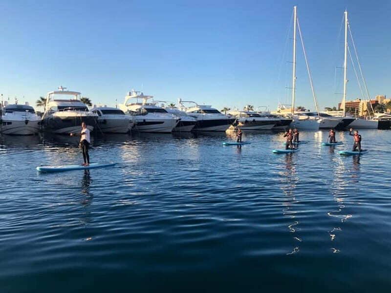 Paddle surf excursion - Why Choose the Paddle Surf Excursion in Mallorca?