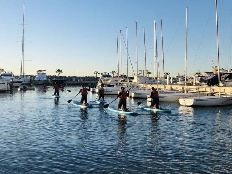 Paddle surf excursion - What to Expect During Your Paddle Surf Experience