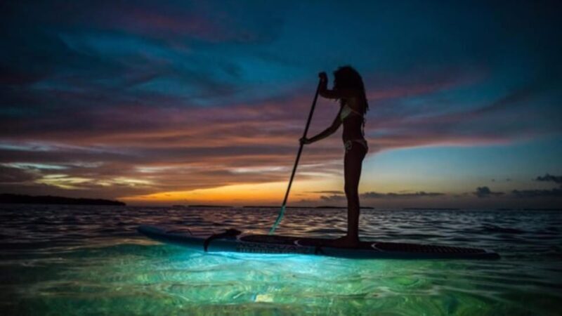 Paddle Surf with Led lights at sunset in Menorca - Practical Details and Considerations