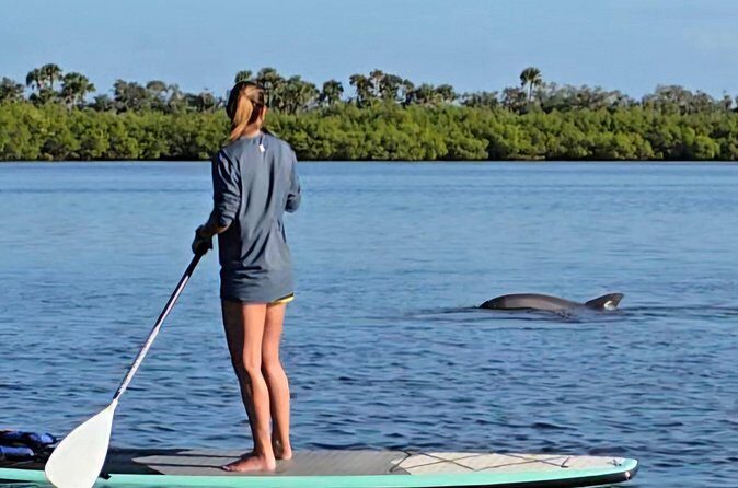 Paddle With Native Wildlife - Final Thoughts: Who Will Love This Tour?