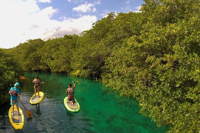 Paddleboard Cenote Tour - Why We Love This Experience