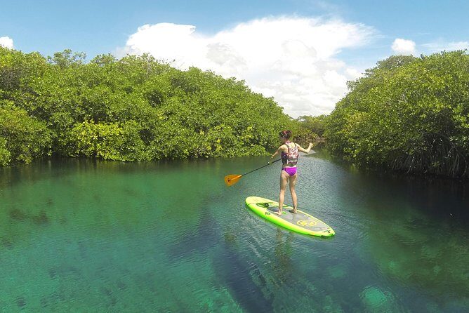 Paddleboard Cenote Tour - What Travelers Say
