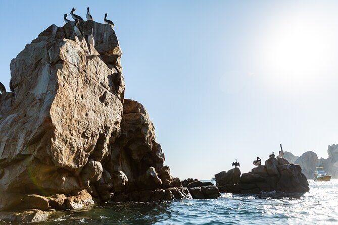 Paddleboard Expedition to the Arch of Cabo San Lucas, Lovers Beach & Snorkel - The Sum Up: Who Will Love This Experience?