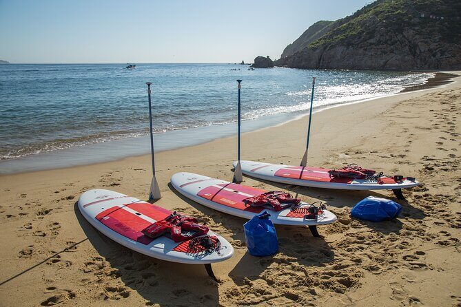 Paddleboard Expedition to the Arch of Cabo San Lucas, Lovers Beach & Snorkel - FAQ