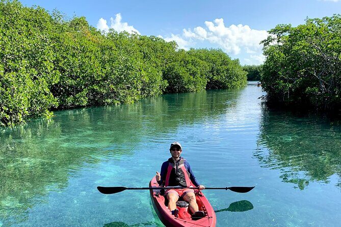 Paddleboard Kayak Tour in Cancun - Who Will Love This Tour?