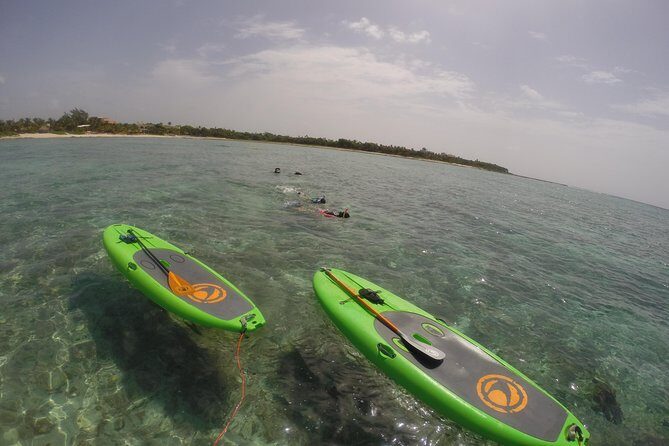 Paddleboard Rentals 3, 5 , 7 days - A Deep Dive into the Experience