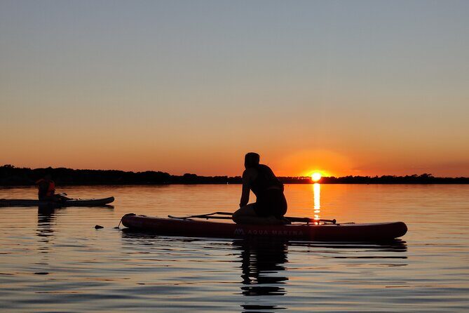 Paddleboarding in Dublin - Why This Tour Is Worth Considering