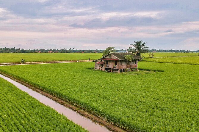 Paddy Field and Fishing Tour in Tanjong Karang - Who Should Consider This Tour?