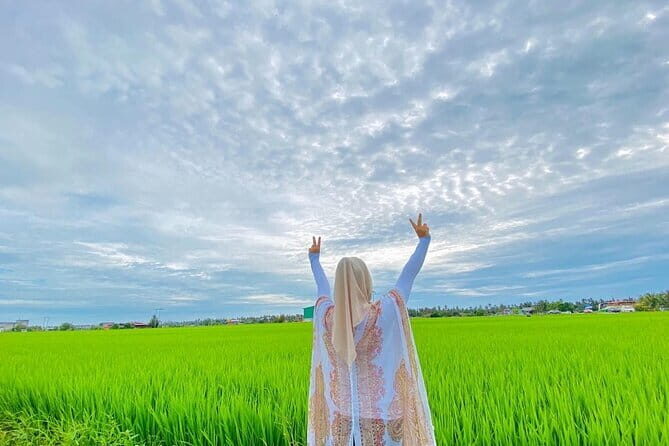 Paddy Field Experience with Real Agricultural Activities - An In-Depth Review of the Paddy Field Experience with Real Agricultural Activities
