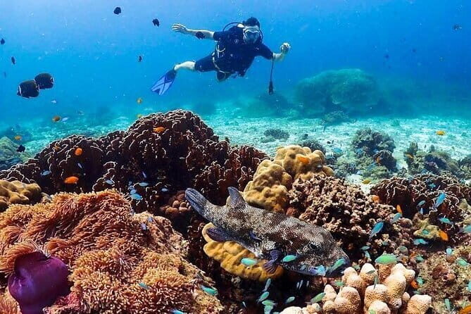 PADI Advanced Open Water Course (5 Dives-2 Days) - Practical Tips for Booking and Participating