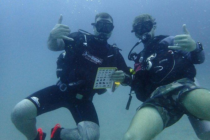 PADI advanced open water course - What to Expect from the PADI Advanced Open Water Course