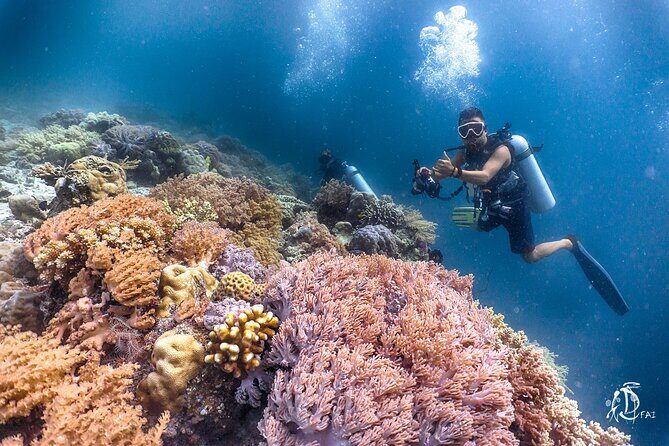 PADI Advanced Open Water Course Kota Kinabalu - Who Is This Course Best For?